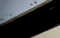 امرأة سمراء الساخنة في سن المراهقة وقحة اللعب مع كس.