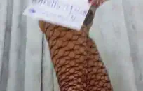 سكس حقيقي في المستشفي